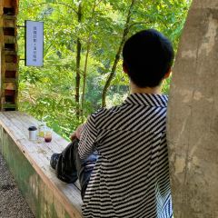 Wiwild逃离计划1·溪谷咖啡(泰顺店) User Photo