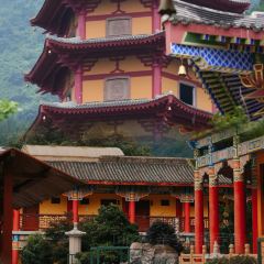 旧院柴火鸡(彭州店) User Photo