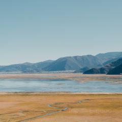 黑豆咖啡屋 User Photo