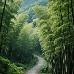 CLOUD RESTAURANT User Photo