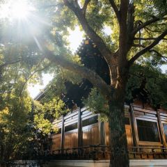 临空假日酒店(赤峰和美建材城玉龙机场店)·早餐厅 여행 사진