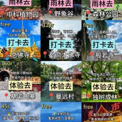 缅花小吃(白象湖店) User Photo