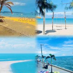 ER SHI SI ZHUANG SUGAR WATER User Photo