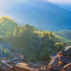 飞茑集樢咖啡 User Photo