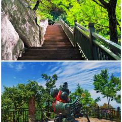 敦贤居农家乐 User Photo