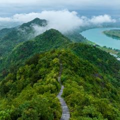 HONGCHI LAOMA SHENGTAI CANTING User Photo