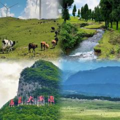 林记豆汤圆子火锅(招商店) User Photo