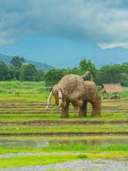 Huai Tueng Thao Sculpture Park