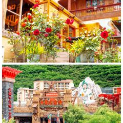 九寨溝青稞藏餐廳張用戶圖片