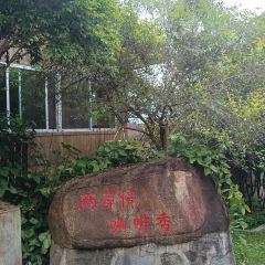 南坑咖啡观赏园 User Photo
