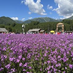 禾木老村山庄 User Photo