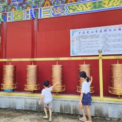 雍景食府張用戶圖片