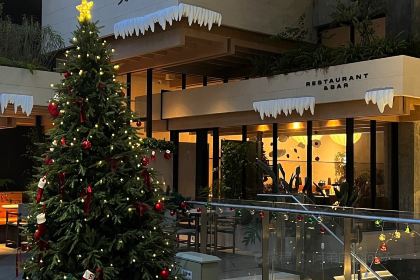 OLLiE 奥野西餐 Restaurant&Bar(麓坊中心店)