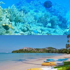 Go Benz Rice Porridge Phuket User Photo