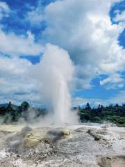 Pohutu Geyser