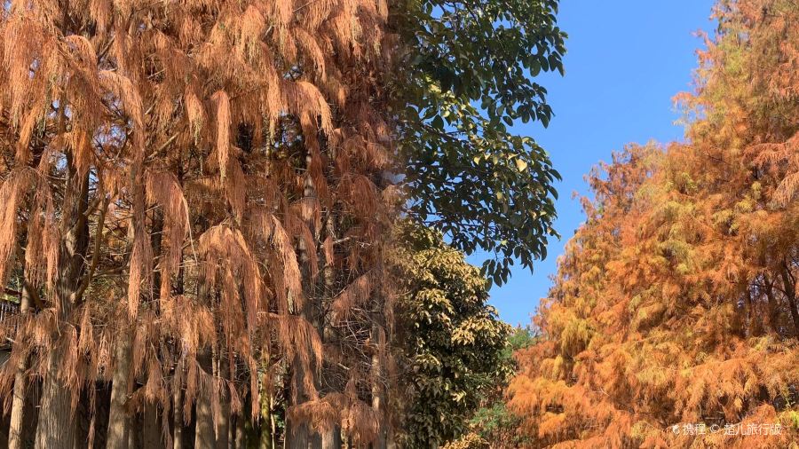 劳春·创意福建料理(东百中心店)