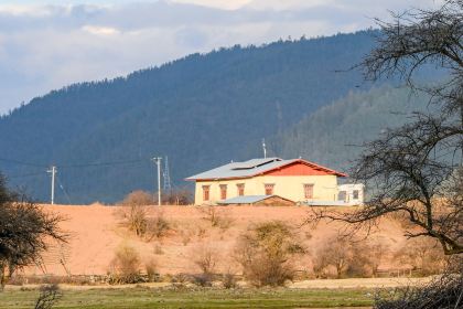 Maleka Tibetan Restuarent