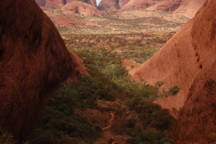 Ayers Wok Noodle Bar