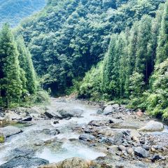黑山雅居 User Photo