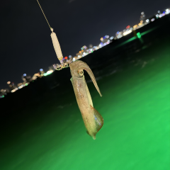 Tappia Floating Cafe Pattaya User Photo