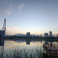 南湖夜市 User Photo