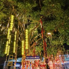 天仙缘草市街美食街区 User Photo