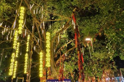 天仙缘草市街美食街区