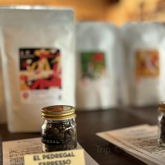 FUGLEN TOKYO User Photo