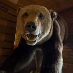 Tzarskaya Okhota User Photo
