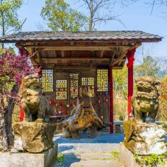 二十四桥明月园(温汤店) User Photo