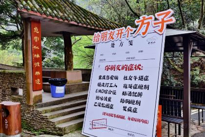 八大块手撕鸡(南门山农贸市场店)
