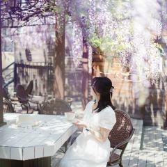 Wisteria Cafe User Photo