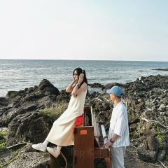 팀블로우 여행 사진
