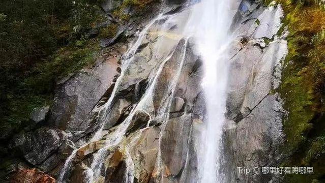 li xiao lu lei shen wang wang hong pu bu