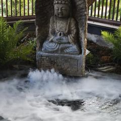 忘川隐庐 User Photo