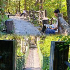 云起草堂(白云山森林公园店) User Photo