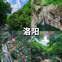 颍阳水席(登封店) User Photo