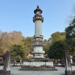 市心街湯包張用戶圖片