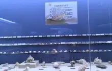 Sanya Shan Hai Shell Culture Museum