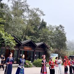 普洱小熊猫庄园·天碧餐厅 User Photo