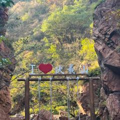 ZHENG XI WANG User Photo