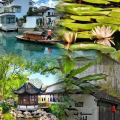 Do Do Do Porridge User Photo