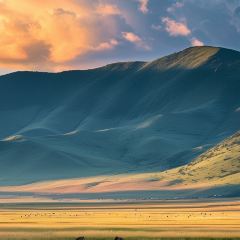 大草原牛羊肉湯鍋(布拖店)張用戶圖片