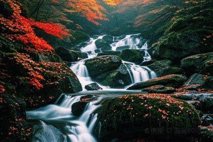 Shirentanghanshishipin (zong)