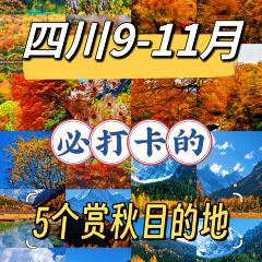 卡万金特色藏餐 User Photo