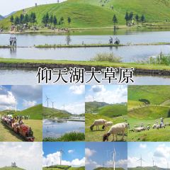 微拾味·新派湘菜(爱莲湖店) User Photo