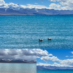 RU YI LIN KA TONG GUO MAO NIU ROU User Photo