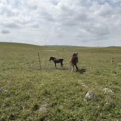 塞伊德蒙餐(兴安南路店) User Photo