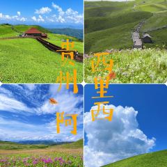 云上平田·爷爷家咖啡 User Photo