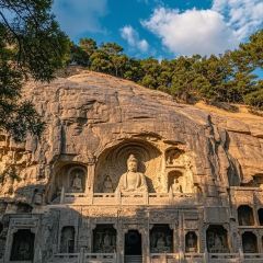 Laopaifang (wanda) User Photo